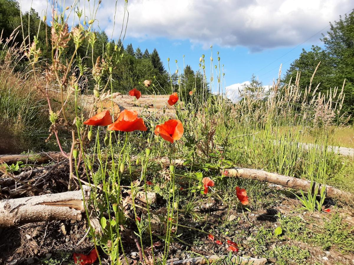 Harz hotel Iris Sieber Zewnętrze zdjęcie