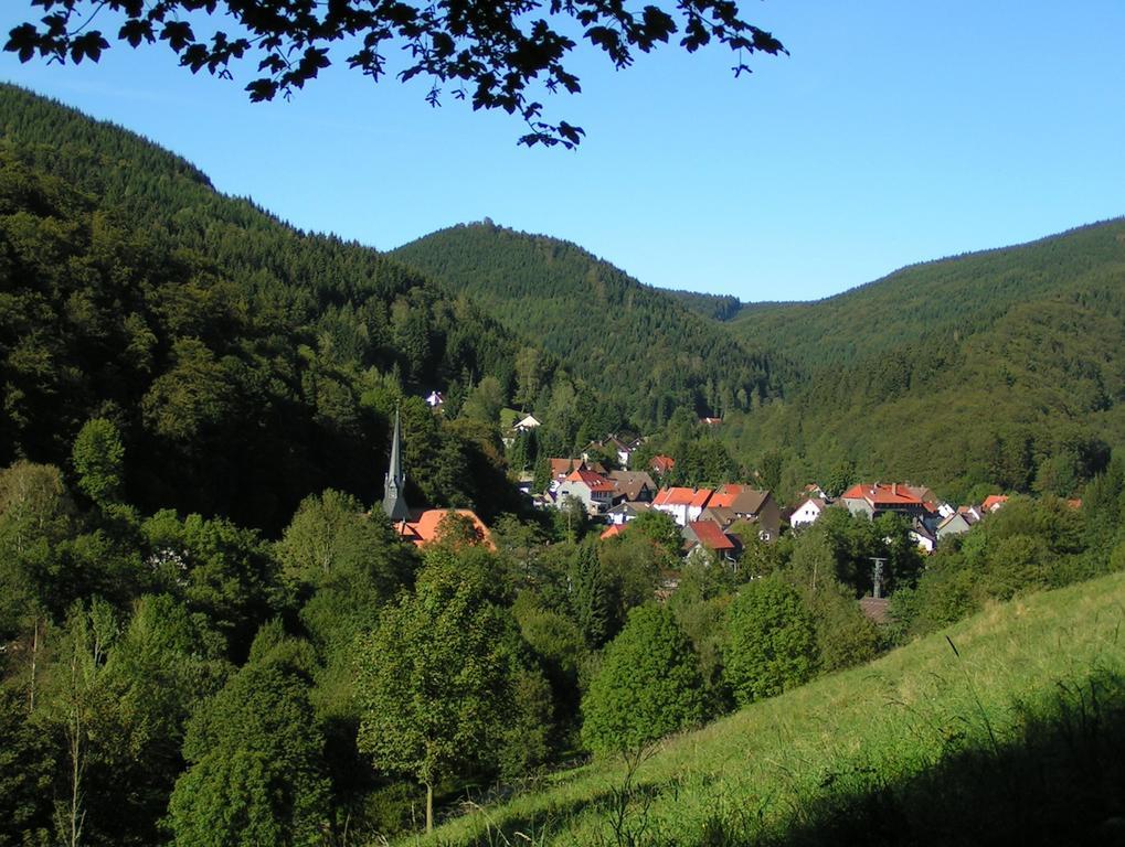 Harz hotel Iris Sieber Zewnętrze zdjęcie