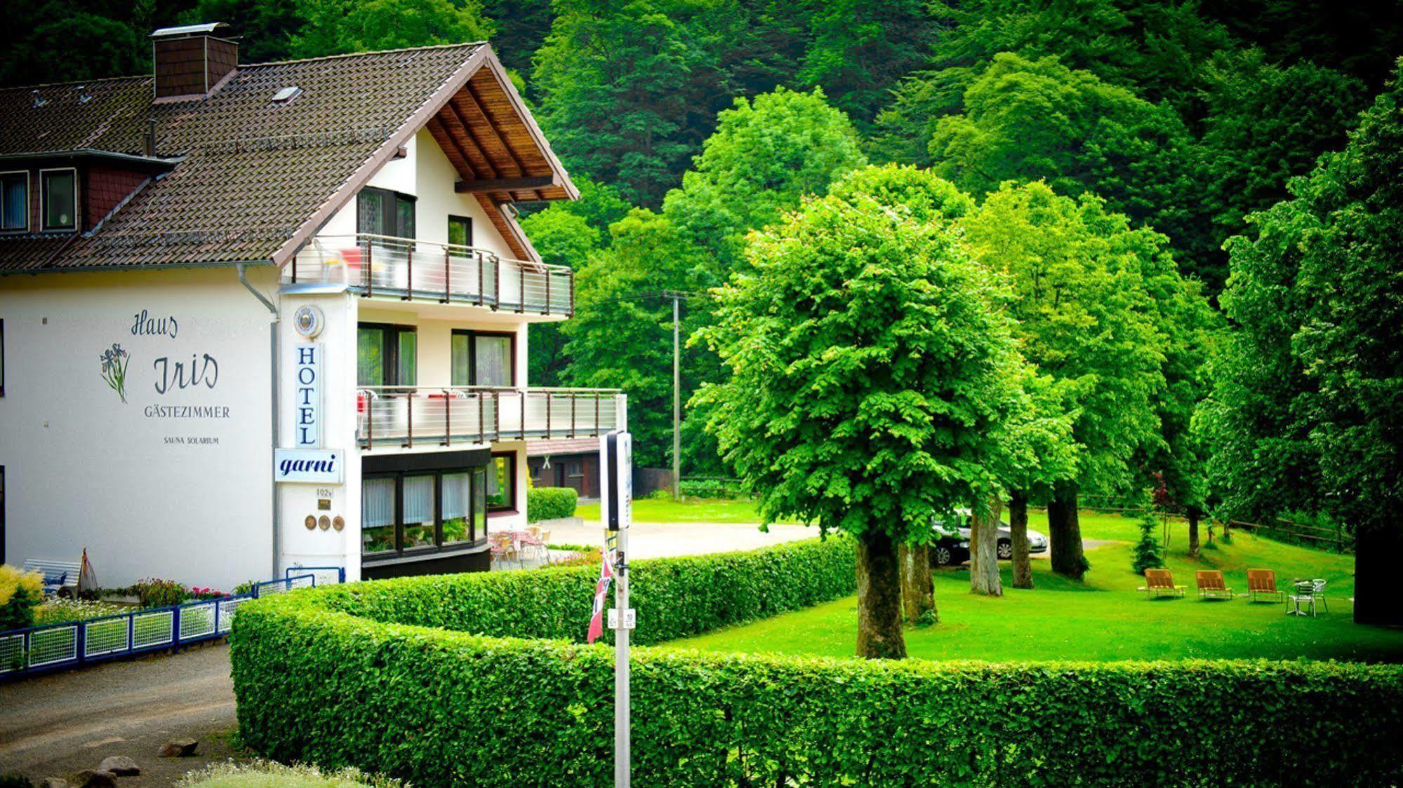 Harz hotel Iris Sieber Zewnętrze zdjęcie